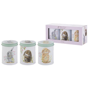 Ashdene Bunny Tales 3pk Canister Set trio view — matching Easter canisters