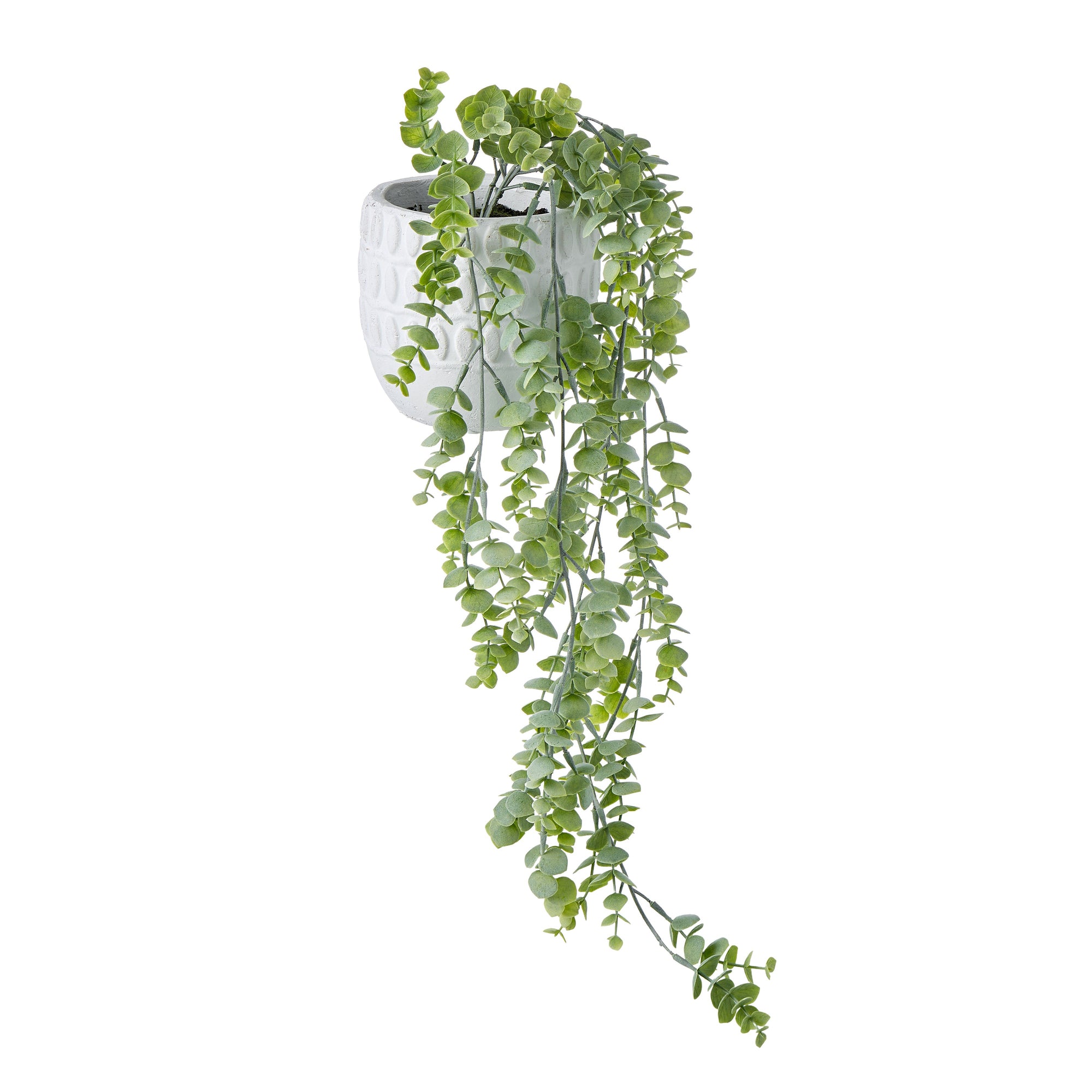 Silver Leaf Hanging-Amaya Pot
