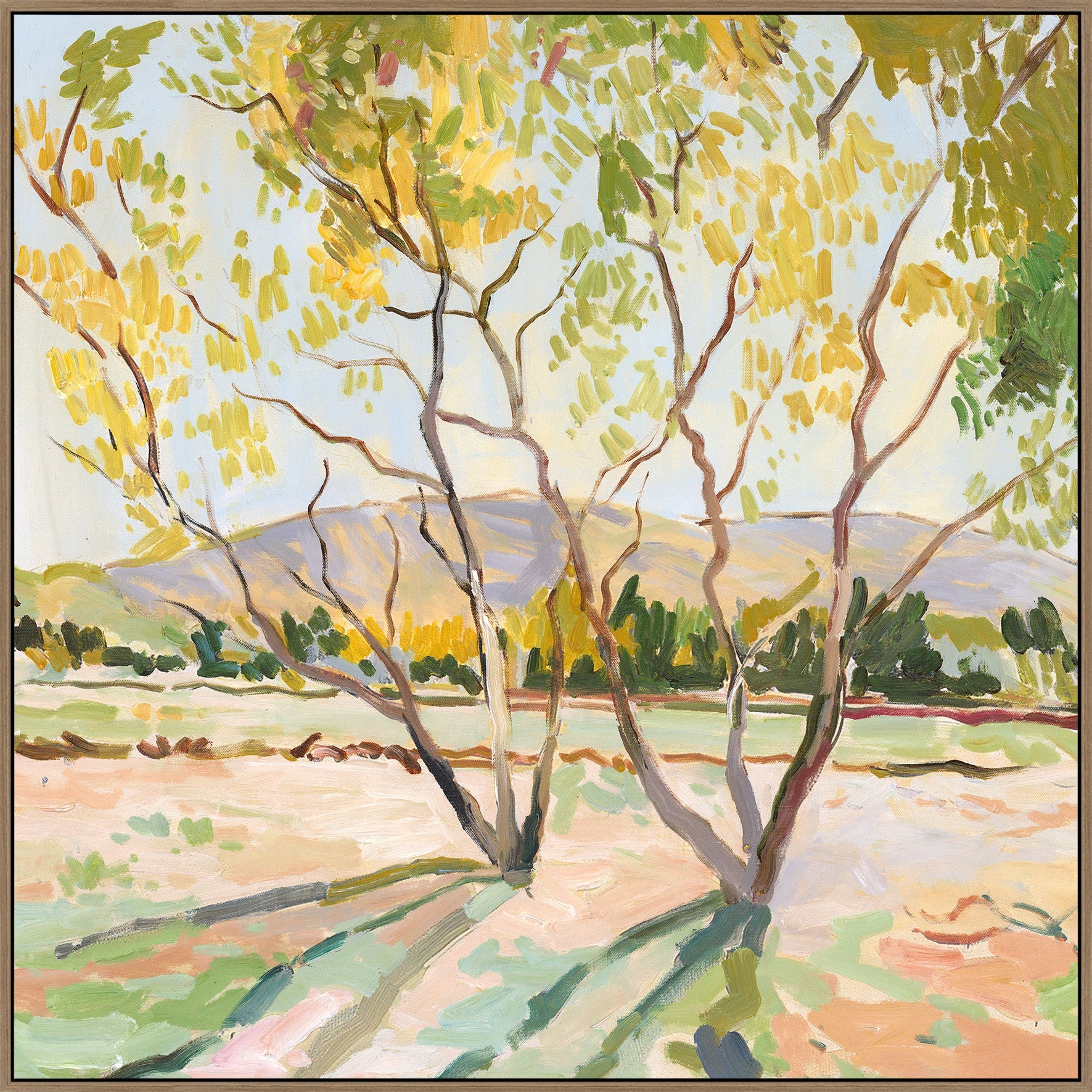 Trend Barossa Breeze B Framed Canvas - vineyard wall art