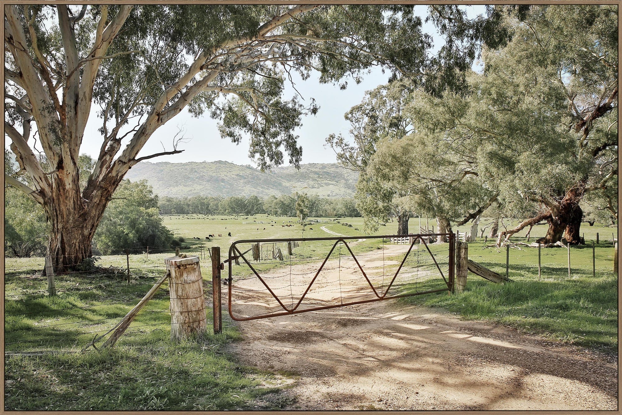 Gumtree Gate framed canvas print 150x100cm