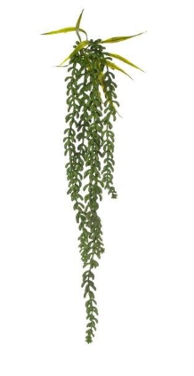 12x8x59cm Donkey Tail