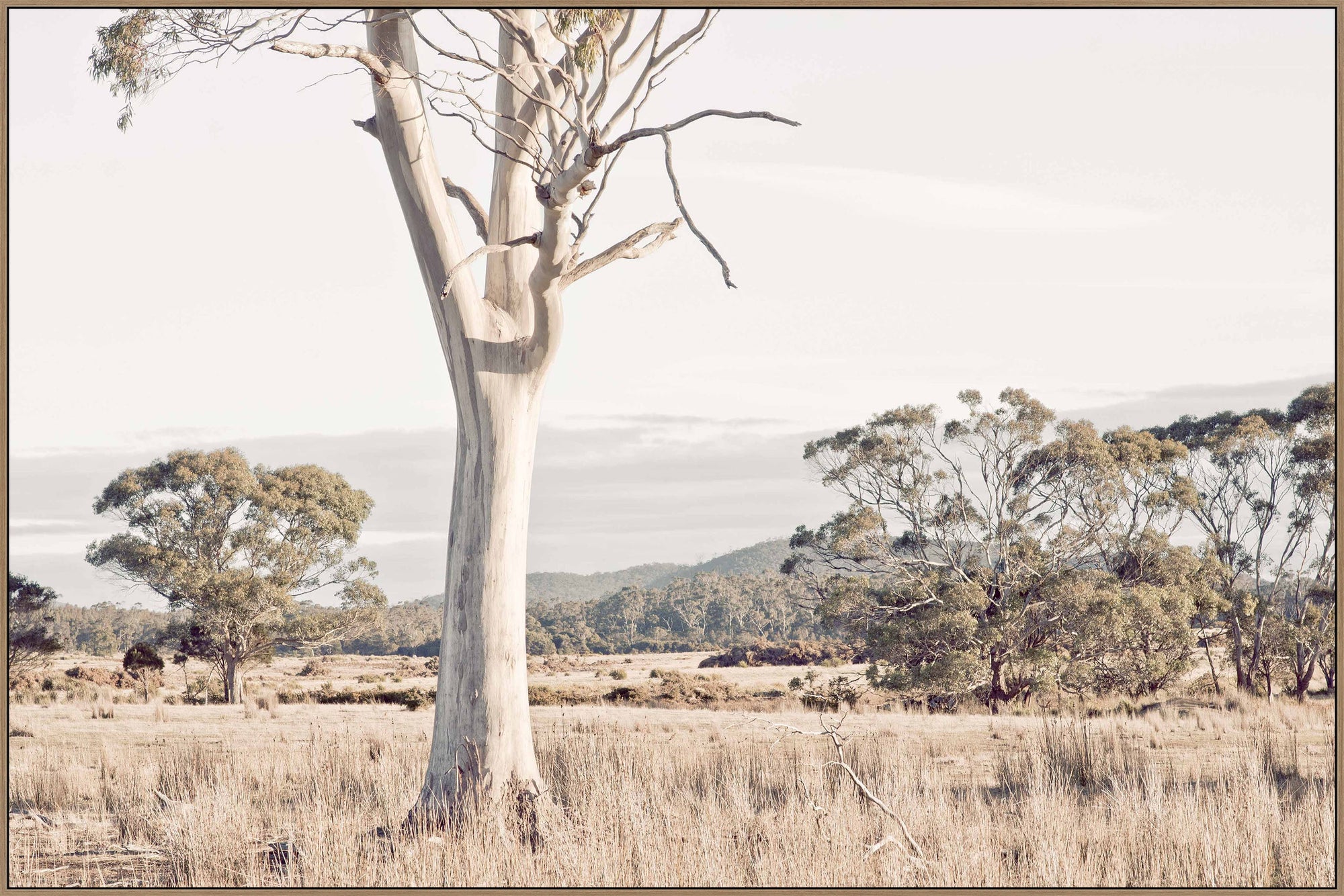 Trend The Ember Plains Framed Canvas - Australian landscape wall art