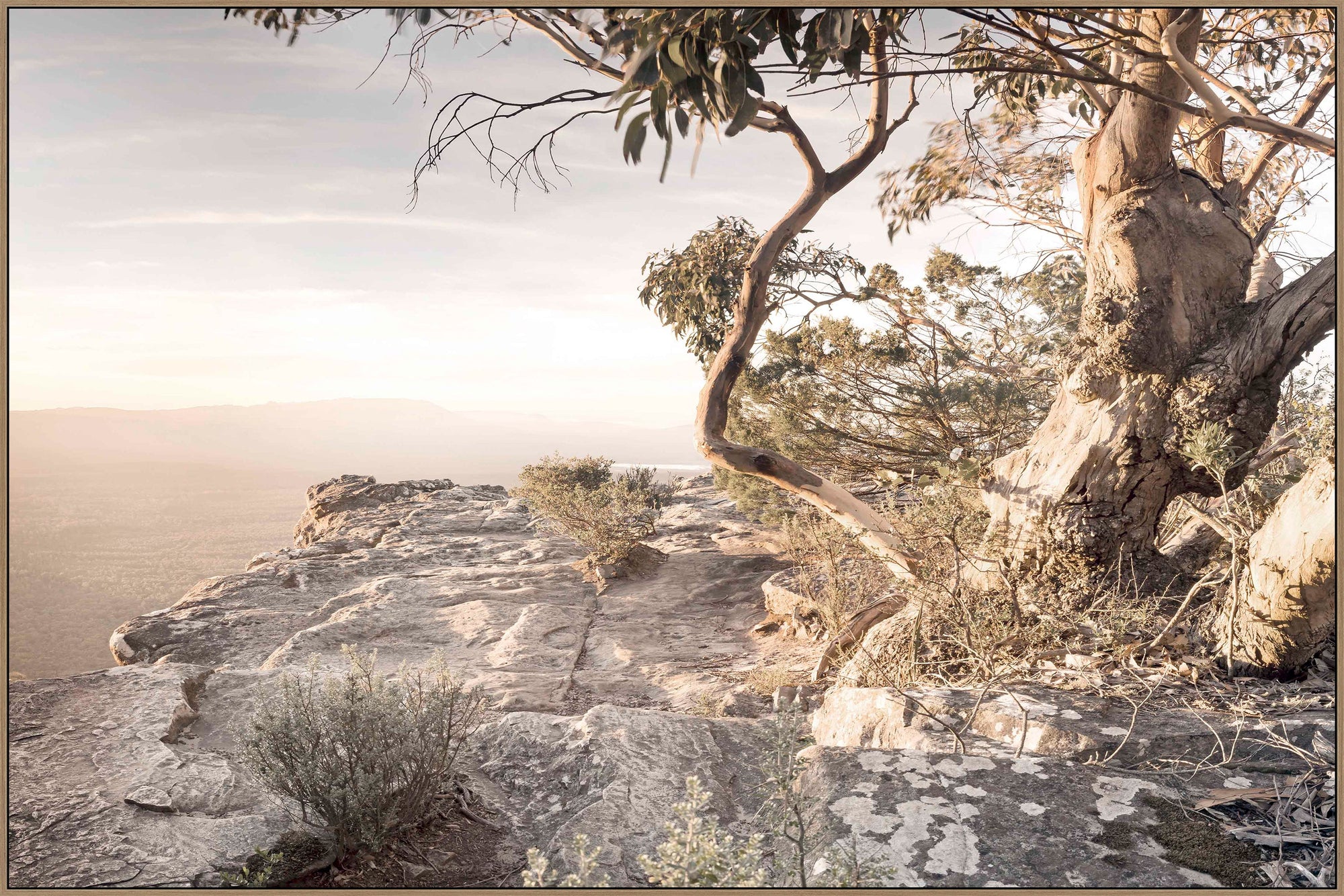 Trend Valley View Framed Canvas - Australian landscape wall art