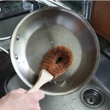 Dish Brushes