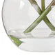 Rogue Cymbidium Orchid Glass Vase Arrangement Orange