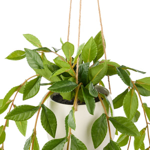 Rogue Lush Leaf Hanging Pot Green - faux hanging plant in pot