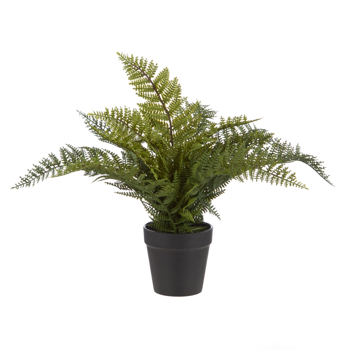 Rogue Leatherleaf Fern Green - faux leatherleaf fern potted plant