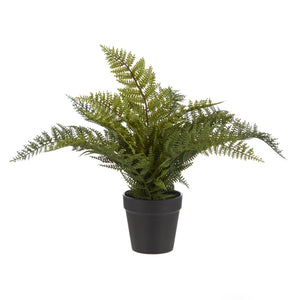 Rogue Leatherleaf Fern Green - faux leatherleaf fern potted plant