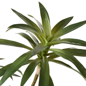 Albi Faux Potted Dracaena Plant Green - artificial plant (view 2)