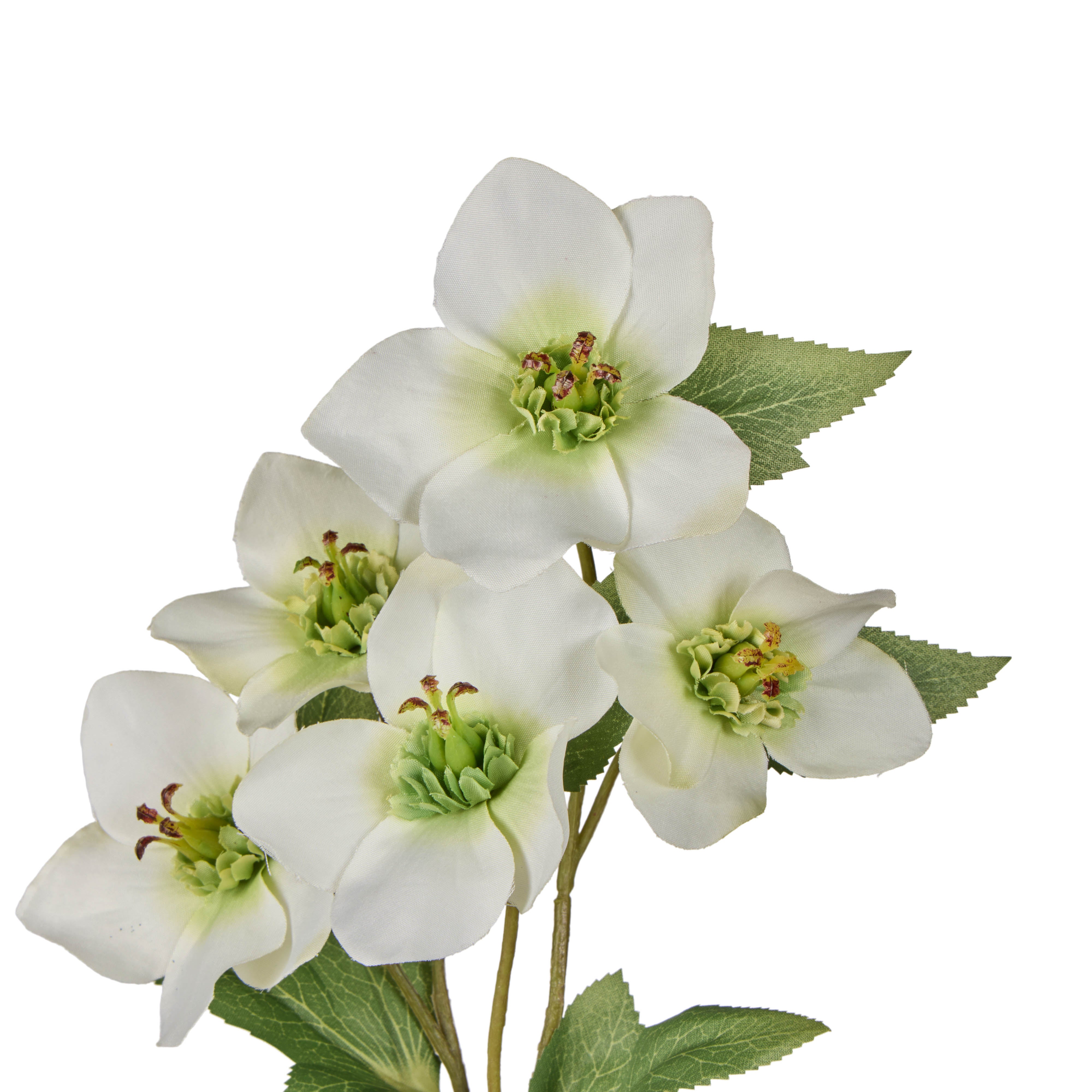 Rogue Helleborus Spray White - faux florals