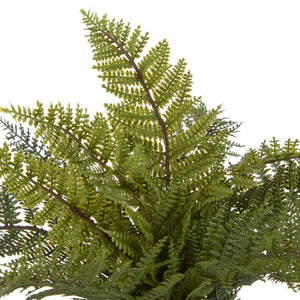 Rogue Leatherleaf Fern Green - faux leatherleaf fern potted plant