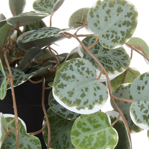 String of Hearts Faux Potted Trailing Plant 40cm – Green