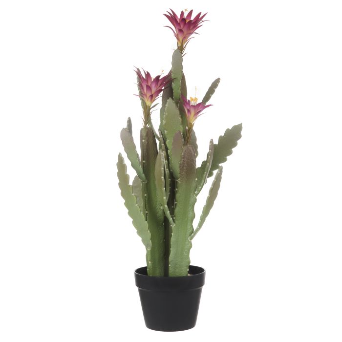 Faux Flowering Cactus 47cm – Child and Pet Friendly