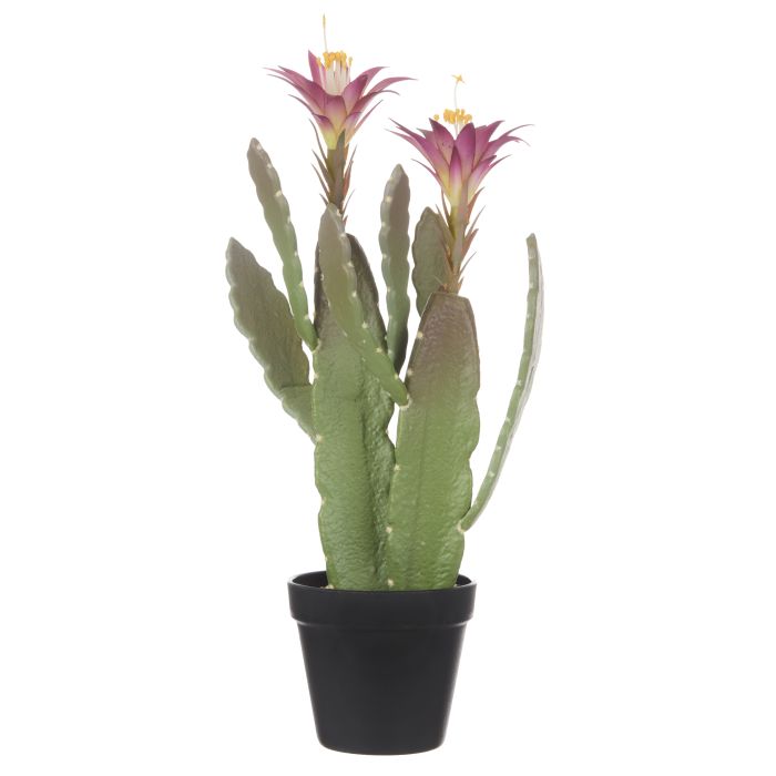 Faux Flowering Cactus 47cm – Child and Pet Friendly