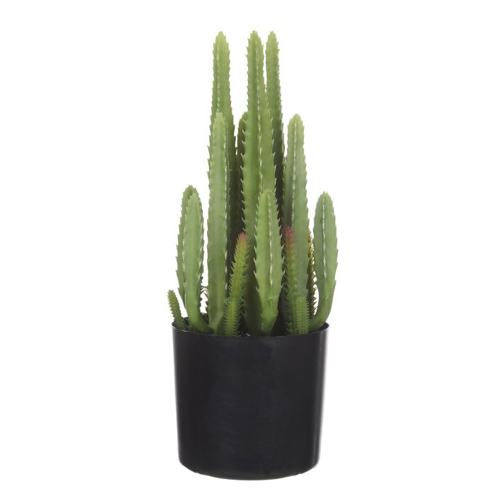 Faux Flowering Cactus 47cm – Child and Pet Friendly