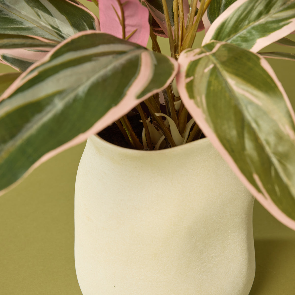 Rogue artificial cordyline 45cm pink Maliah pot - faux plant - view 4
