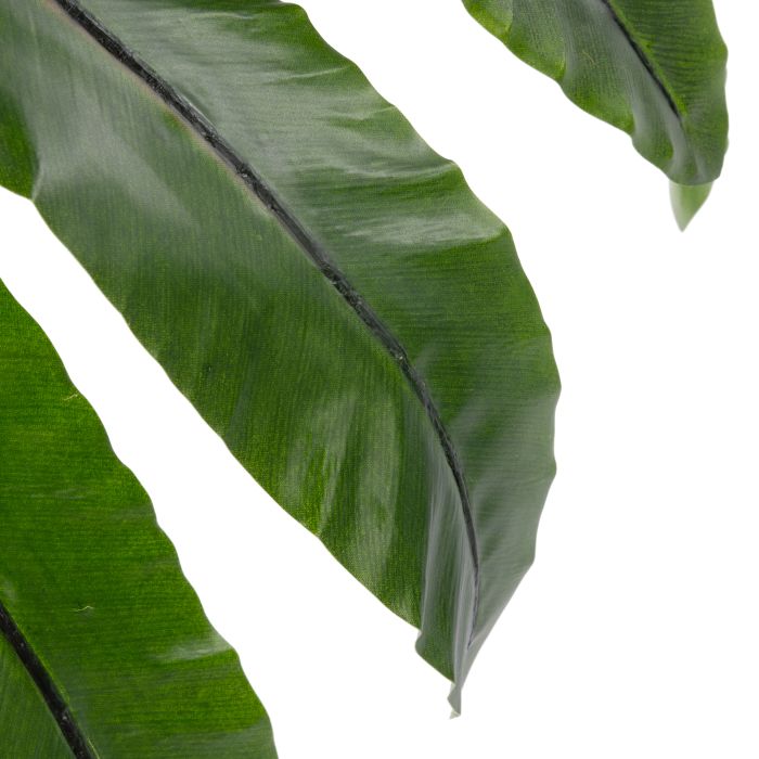 Artificial Bird Nest Fern UV Treated – Garden Pot – Green