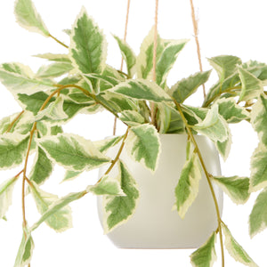 Rogue Ficus Hanging Pot White and Green - faux ficus hanging plant