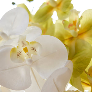 Albi Faux Phalaenopsis Orchid Glass Vase White detail - artificial orchid decor