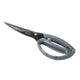 Savannah Stainless Steel Titanium Poultry Shears