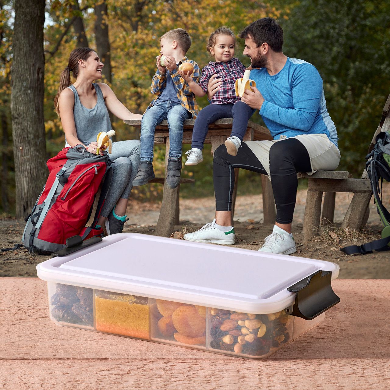 Farberware Snacklebox with Poly Cutting Board Lid - Small 20x32cm