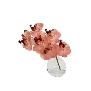 Albi Faux Phalaenopsis Orchid Glass Vase Pink - artificial orchid decor