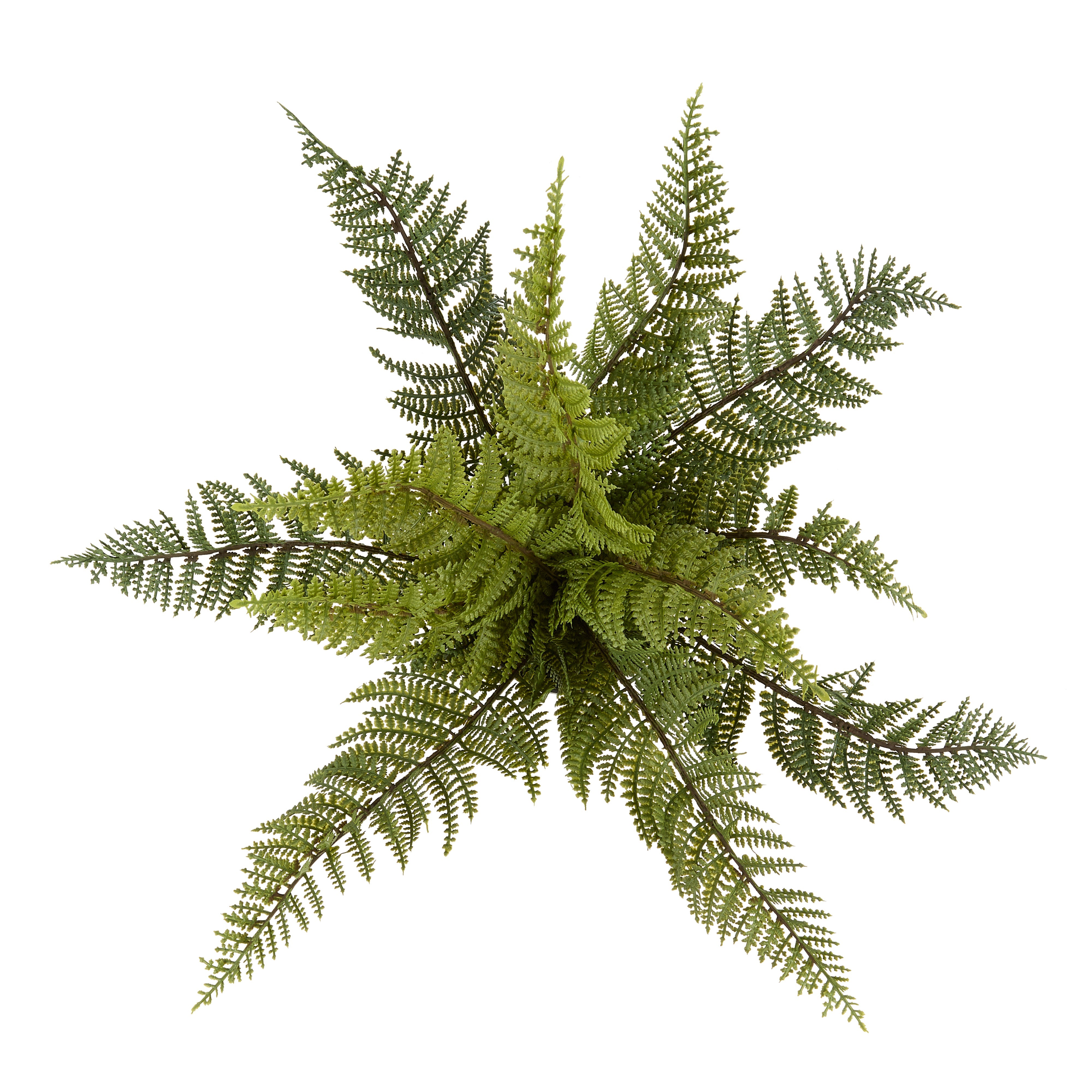 Rogue Leatherleaf Fern Green - faux leatherleaf fern potted plant