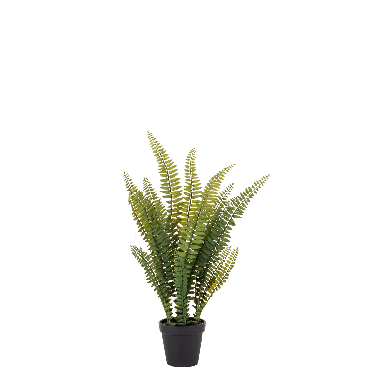 Rogue Boston Fern in green garden pot - artificial fern, 51cm