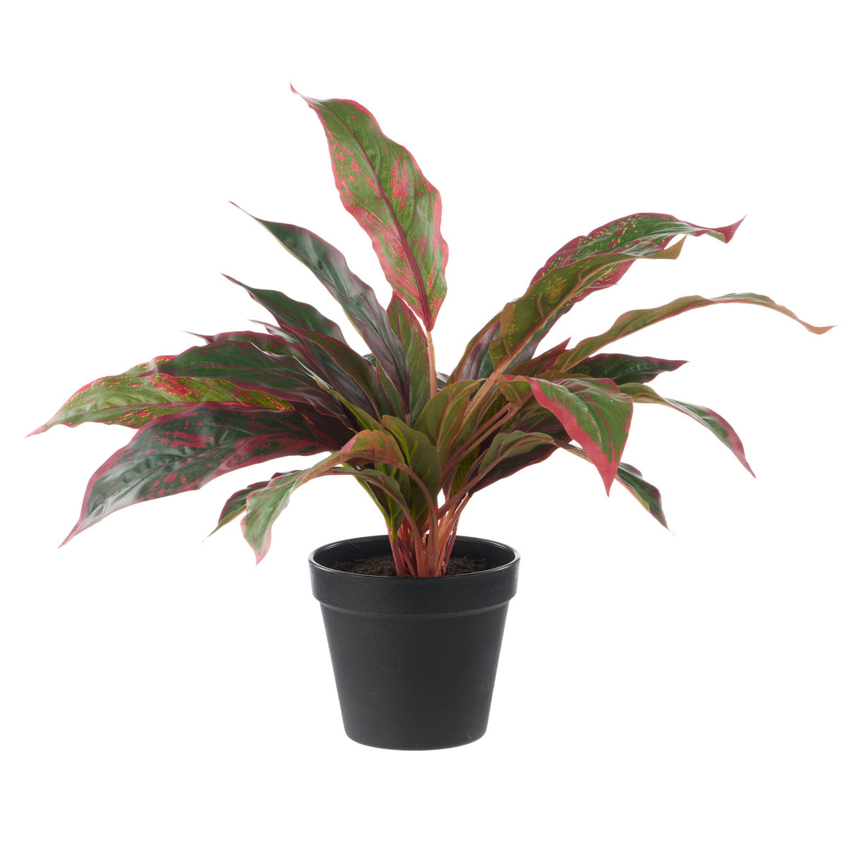 Rogue artificial cordyline 37cm red - faux potted plant
