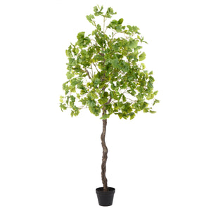 Albi Faux Ginkgo Tree 173cm Green - artificial tree