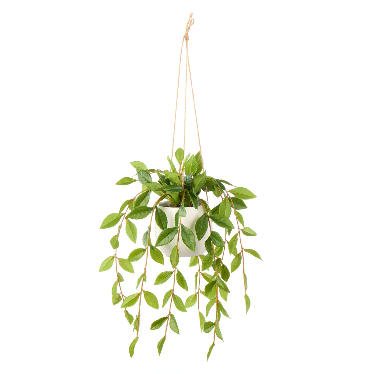 Rogue Lush Leaf Hanging Pot Green - faux hanging plant in pot