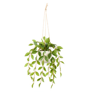 Rogue Lush Leaf Hanging Pot Green - faux hanging plant in pot