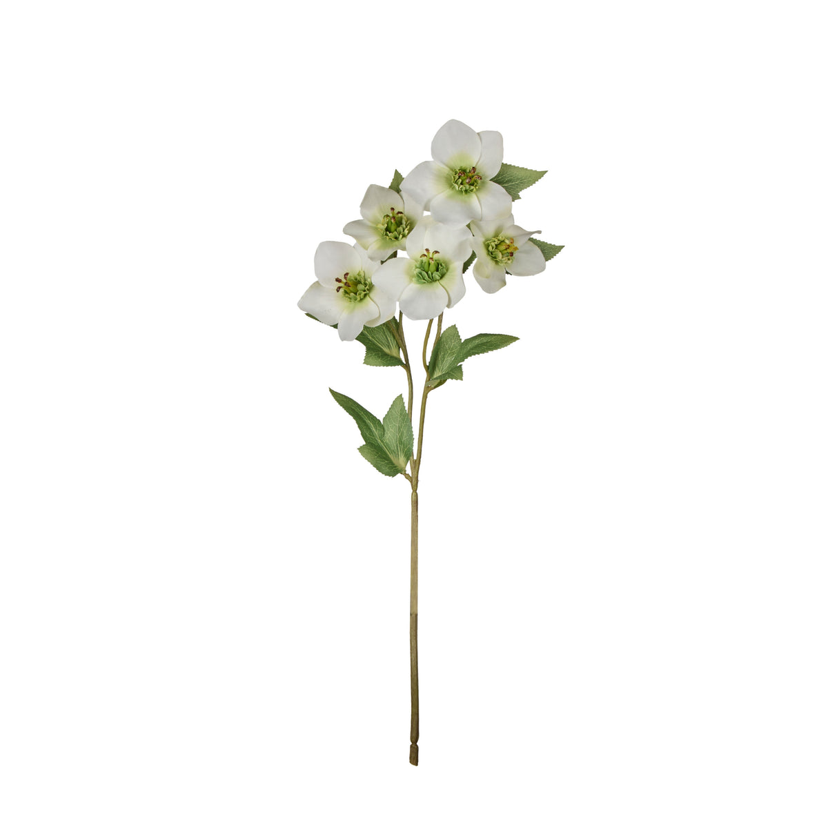 Rogue Helleborus Spray White - faux florals