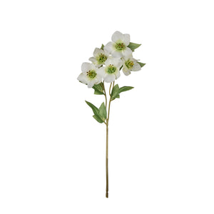 Rogue Helleborus Spray White - faux florals