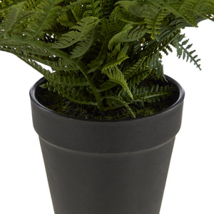 Rogue Leatherleaf Fern Green - faux leatherleaf fern potted plant