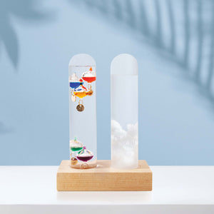 Maverick storm glass barometer detail — atmospheric weather forecasting