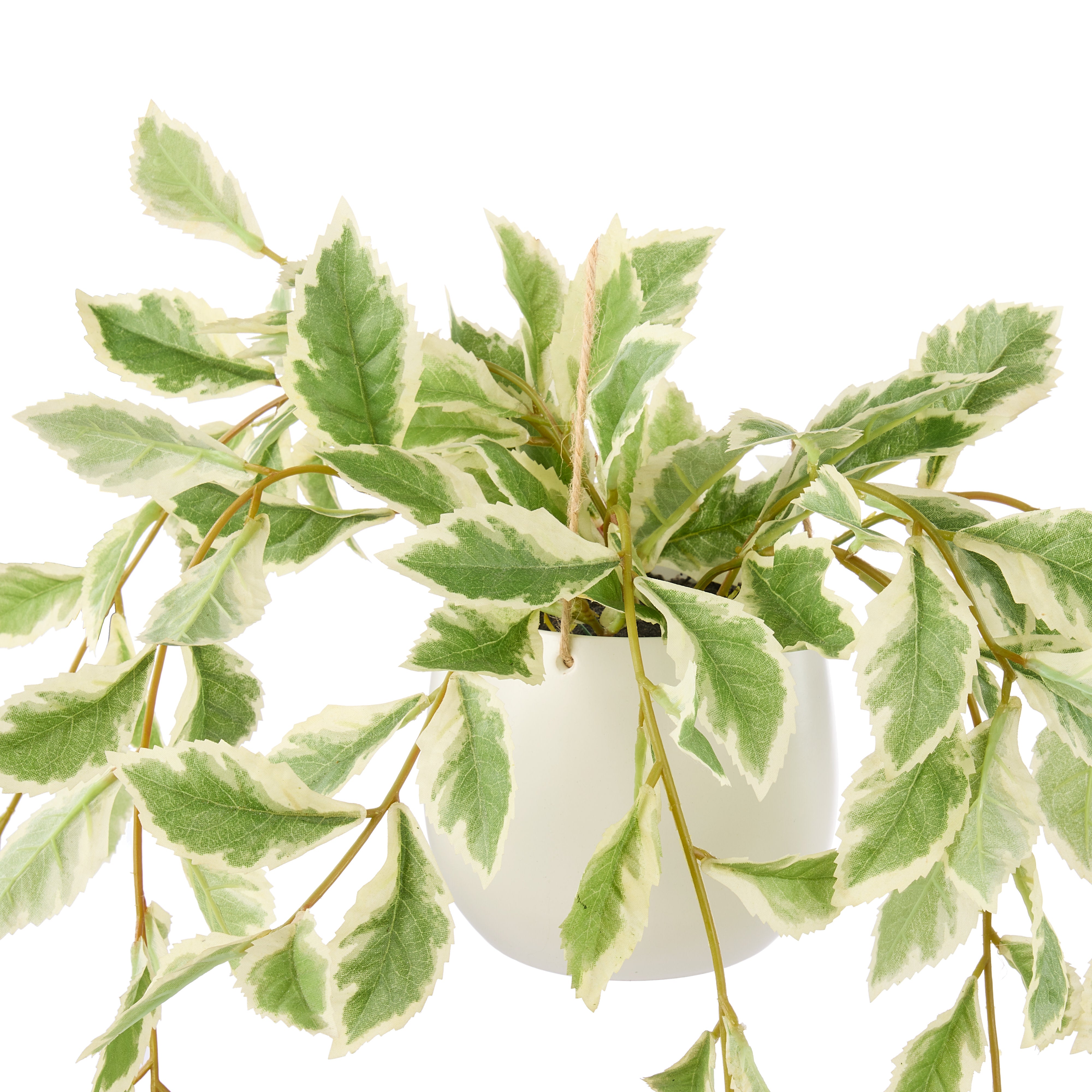 Rogue Ficus Hanging Pot White and Green - faux ficus hanging plant