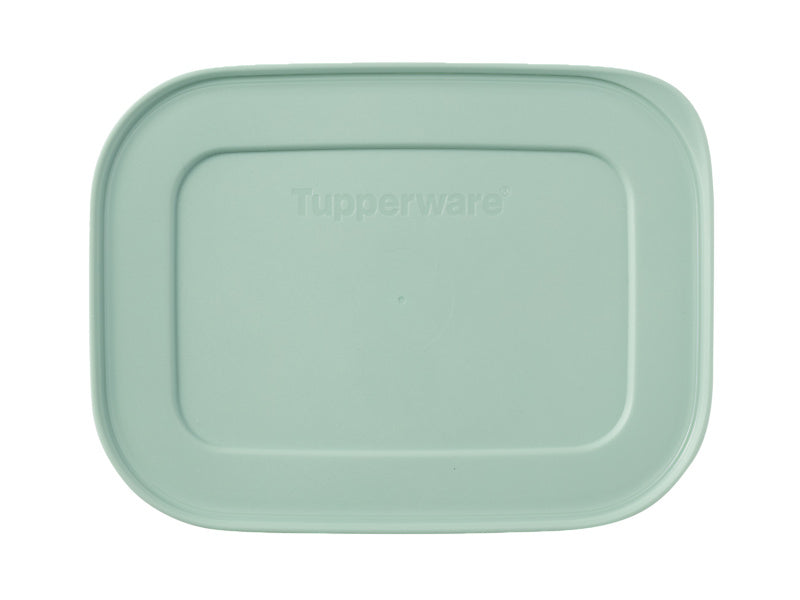 Tupperware Freezable Container Set 4pc 450ml – Freezer Storage