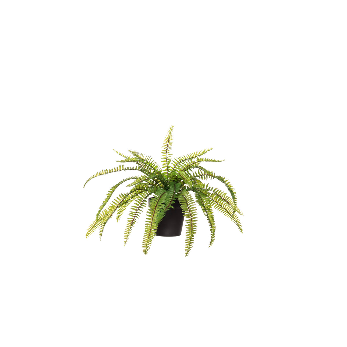 Rogue Evergreen Boston Fern in green garden pot - artificial fern, 45x45x32cm