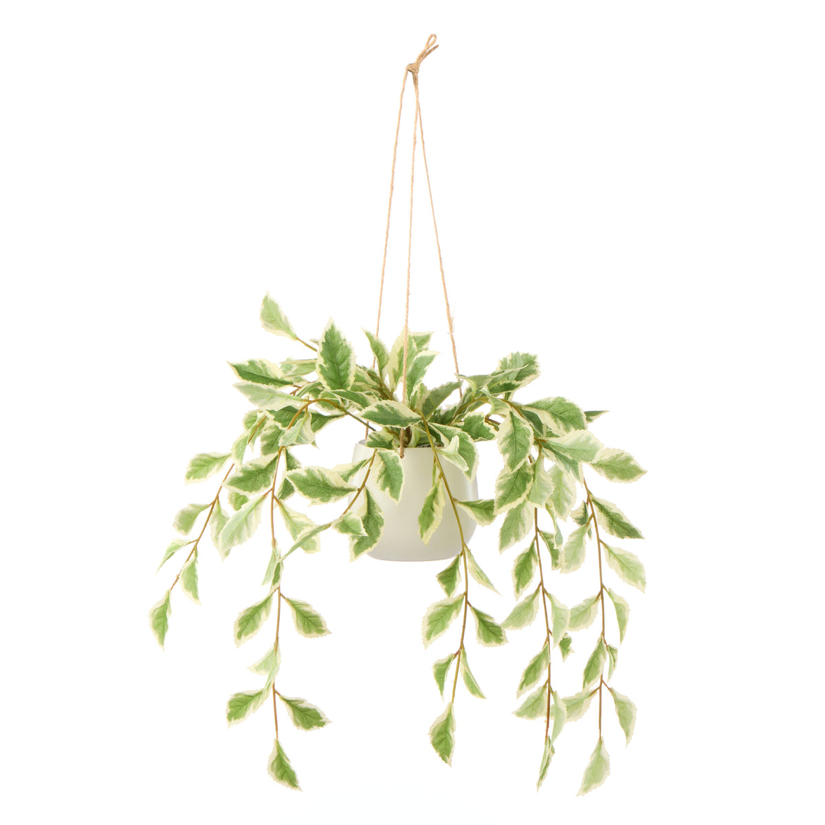 Rogue Ficus Hanging Pot White and Green - faux ficus hanging plant