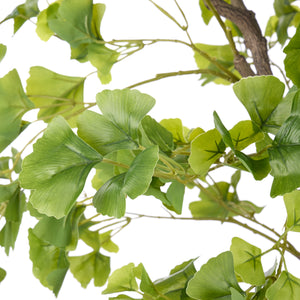 Albi Faux Ginkgo Tree 173cm Green - artificial tree (view 2)