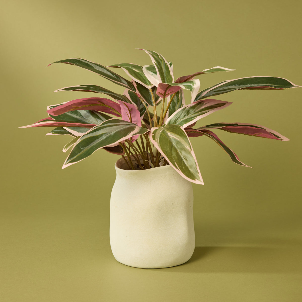 Rogue artificial cordyline 45cm pink Maliah pot - faux plant