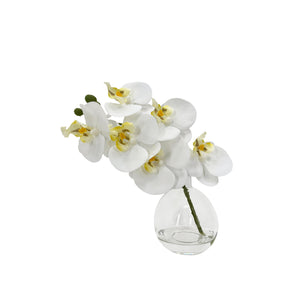 Albi Faux Phalaenopsis Orchid Glass Vase White - artificial orchid decor