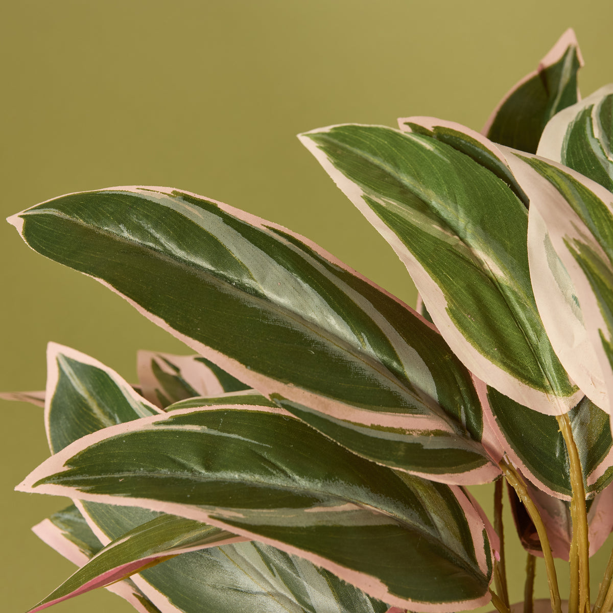 Rogue artificial cordyline 45cm pink Maliah pot - faux plant - view 3