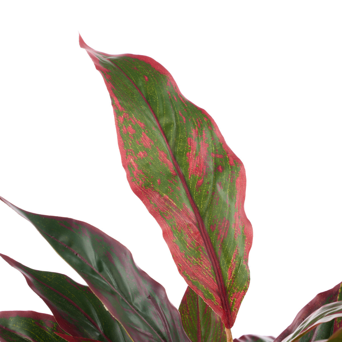 Rogue artificial cordyline 37cm red - faux potted plant - view 3