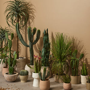 Albi Faux Potted Dracaena Plant Green - artificial plant (view 3)