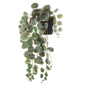 String of Hearts Faux Potted Trailing Plant 40cm – Green