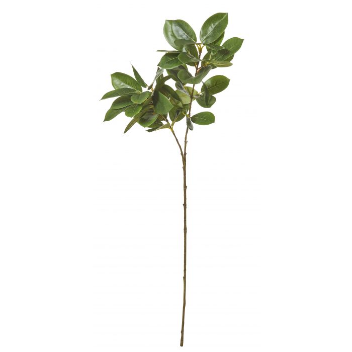 Spray Oriental Ficus Green 30x20x72cm