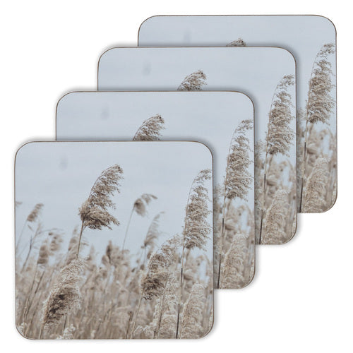 Hardboard Wheat 4pk Coasters